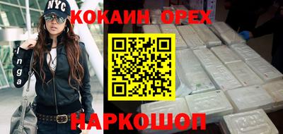 гашик Кинель