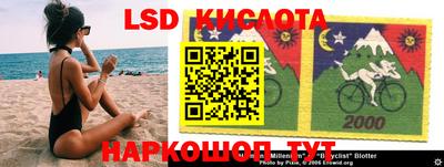 молекула духа Кингисепп