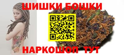 молекула духа Кингисепп