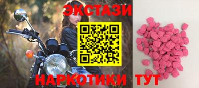 молекула духа Кингисепп