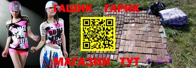 молекула духа Кингисепп