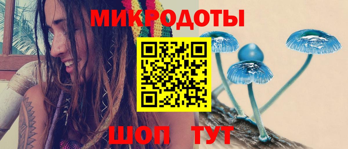 Псилоцибиновые грибы Magic Shrooms  Вход с VPN  купить наркоту  Курчалой 