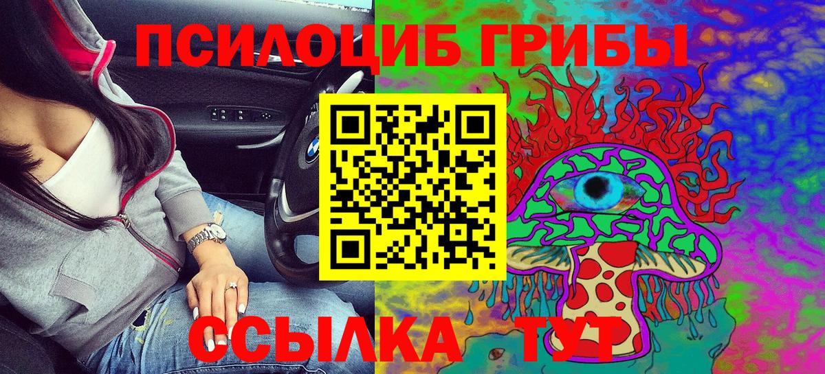 Псилоцибиновые грибы GOLDEN TEACHER Курчалой