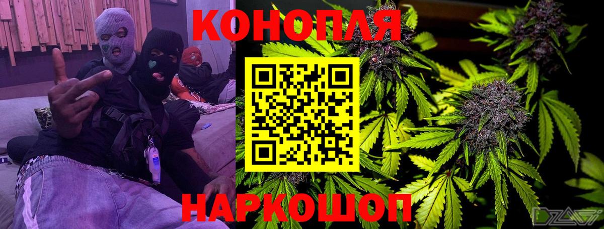 Бошки марихуана VHQ Курчалой