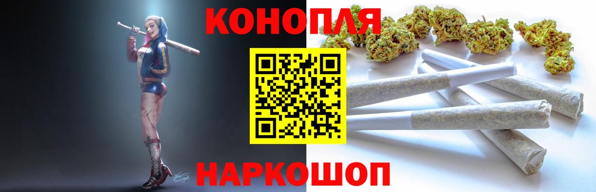 Конопля семена  Каннабис конопля  Бошки Шишки VHQ  Вход с VPN  Курчалой 